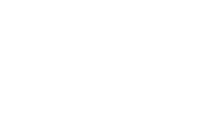 Profit & Purpose logo