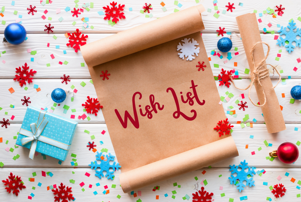 What Nonprofits Really Want for the Holidays (and all the days)