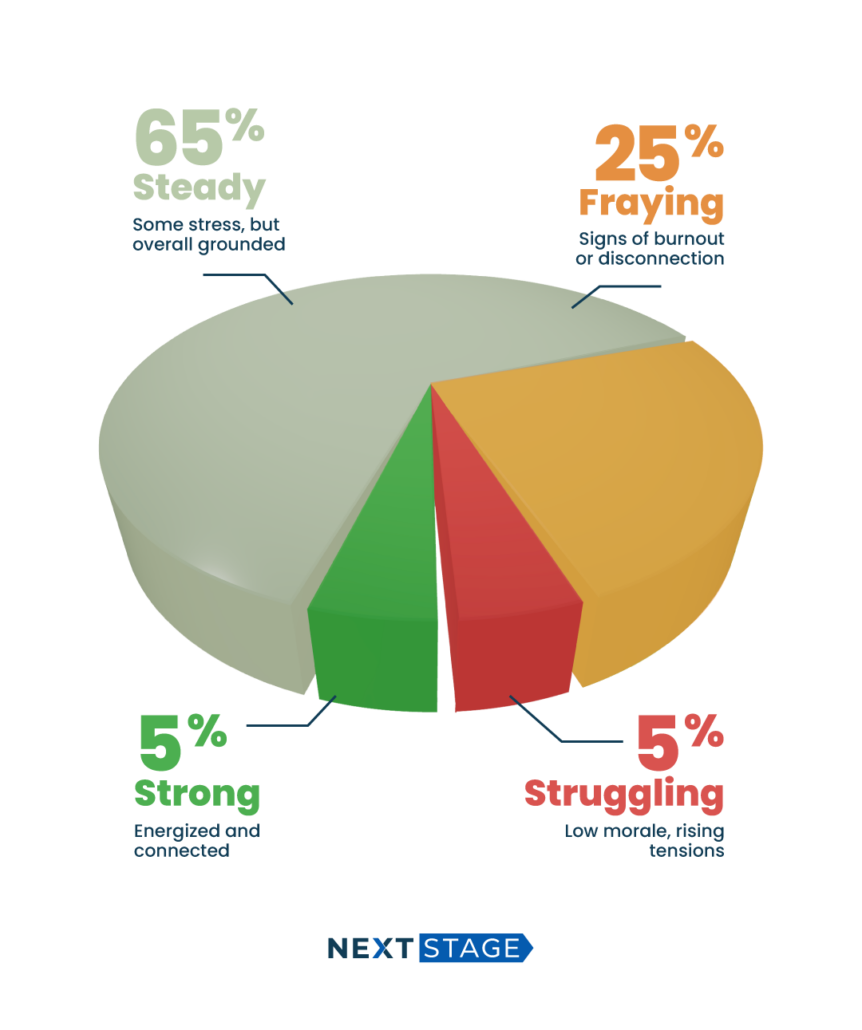 A pie chart that depicts the results of the survey.